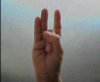 Shunya Mudra.JPG