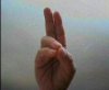 Pran Mudra.jpg