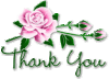 graphics-thank-you-713880.gif