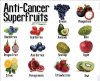 fruits.jpg