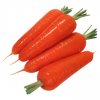 carrot.jpg