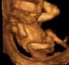 wbwtwins12-16-2.jpg