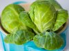 brussel-sprouts-400-1.jpg