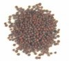 brownmustardseeds6.jpg