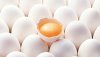 eggs-708.jpg