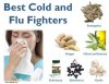 health-tips-best-cold-and-flu-fighters-ginger-astragalus-olive-echinacea-elderberry-garlic.jpg