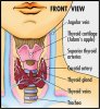 thyroid.jpg