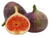 depositphotos_6638853-Fresh-fig-fruit.jpg