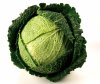 image_riviera_savoy_cabbage.jpg