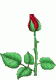 jeevitha jeevi